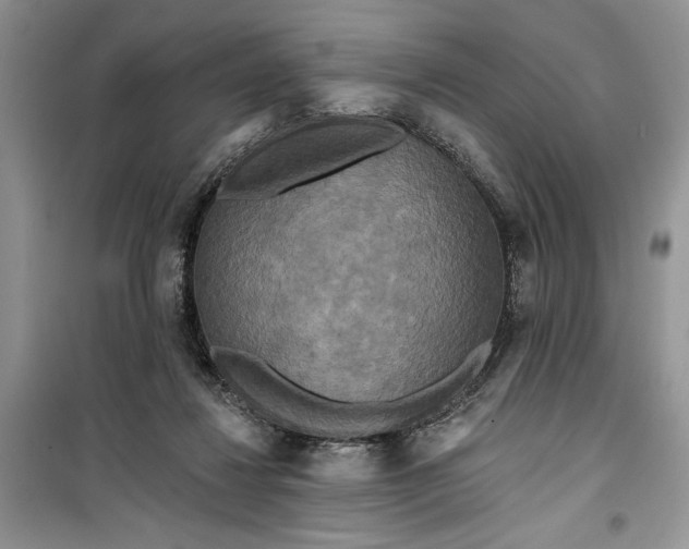 X0000099500260200805291134