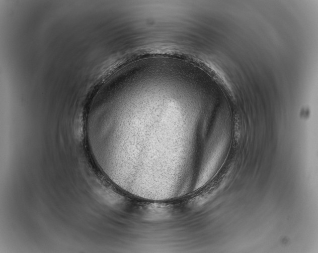 X0000099500261200805291134