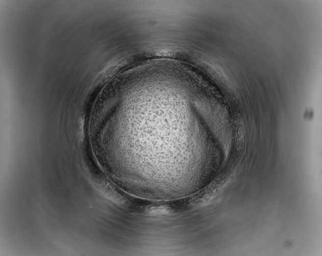 X0000099500262200805291134