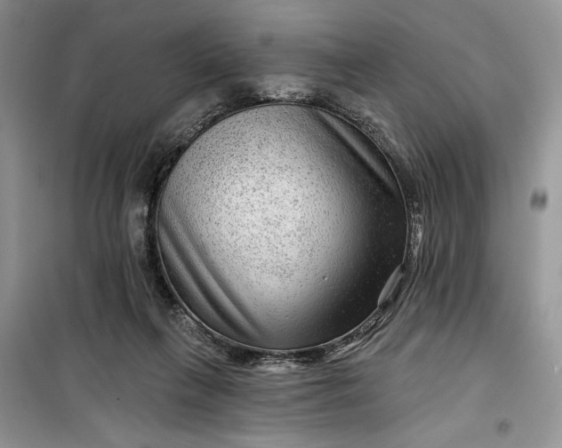 X0000099500263200805291134