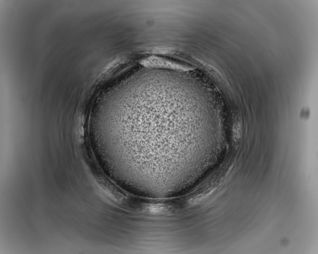 X0000099500264200805291134