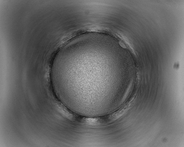 X0000099500265200805291134