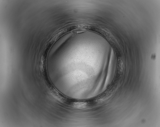 X0000099500266200805291134