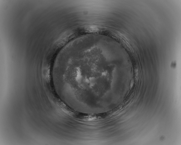 X0000099500267200805291134