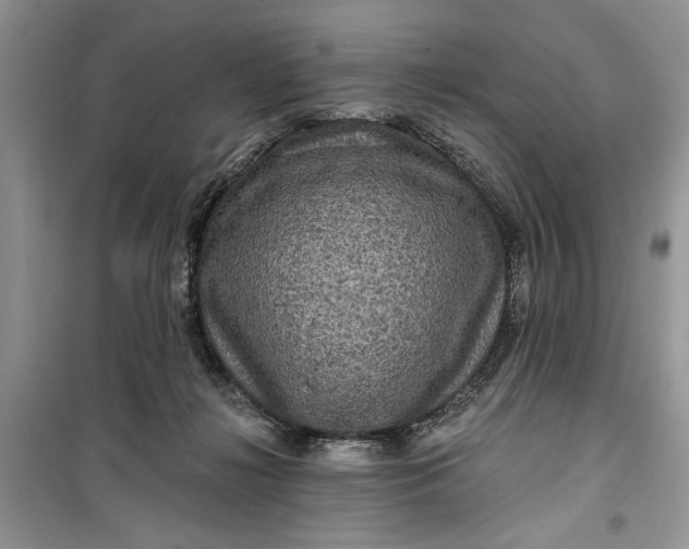 X0000099500268200805291134