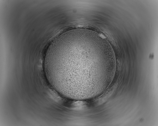 X0000099500269200805291134