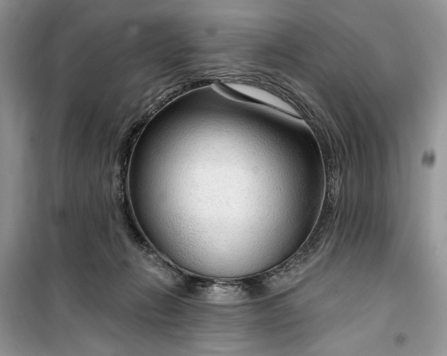 X0000099500270200805291134