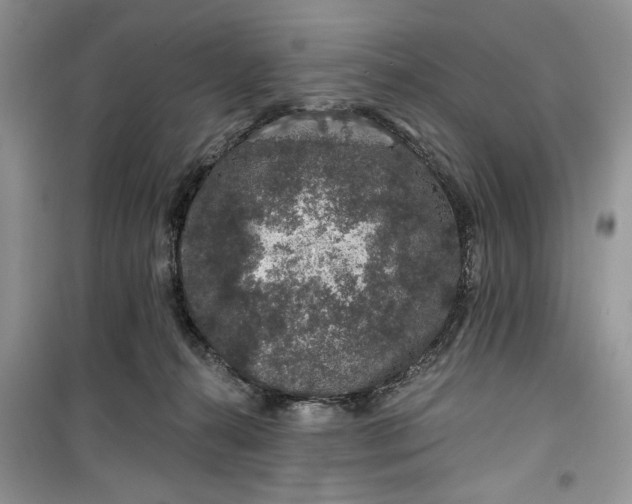 X0000099500272200805291134