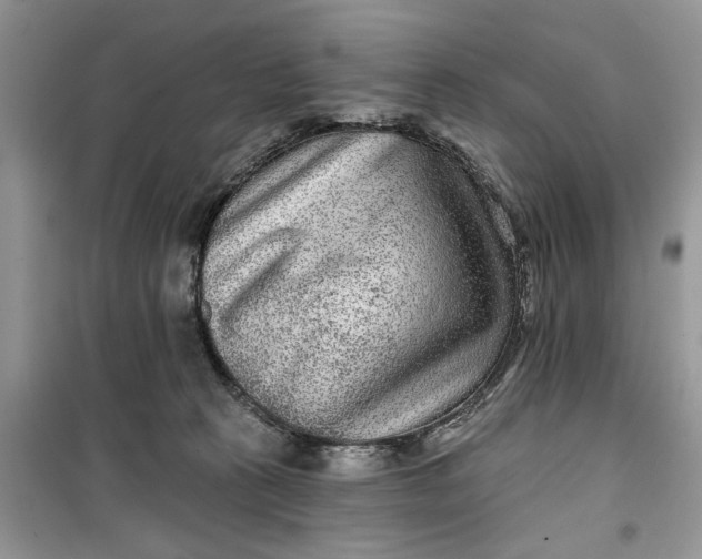 X0000099500273200805291135