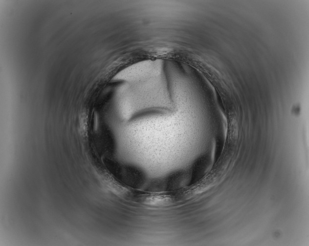 X0000099500274200805291135