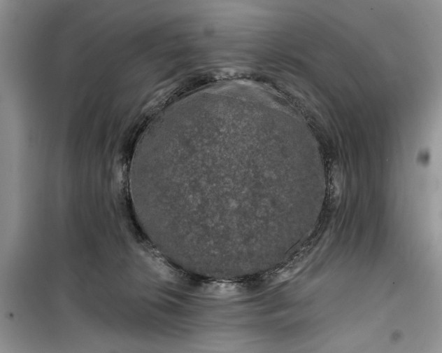 X0000099500276200805291135