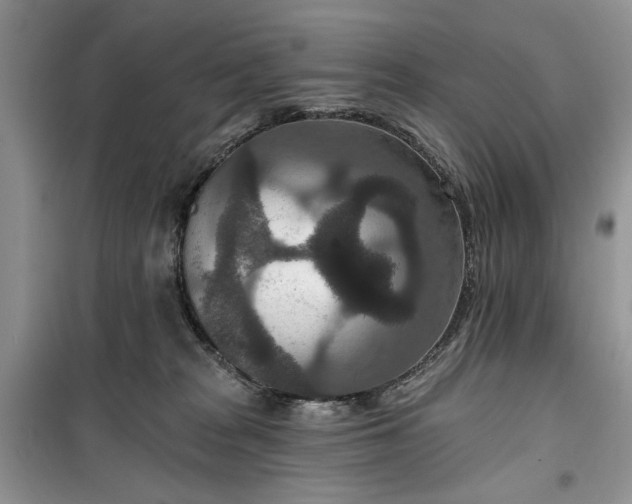 X0000099500277200805291135