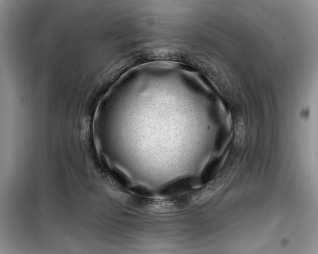 X0000099500278200805291135