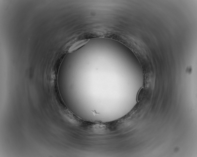 X0000099500279200805291135