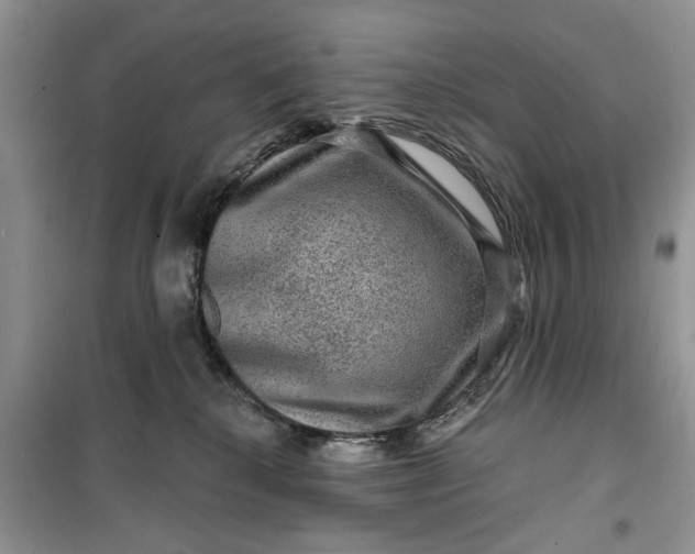 X0000099500280200805291135