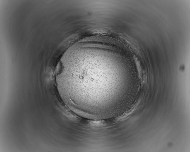 X0000099500281200805291135