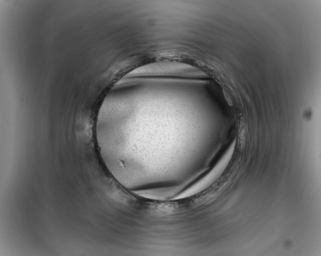 X0000099500282200805291135