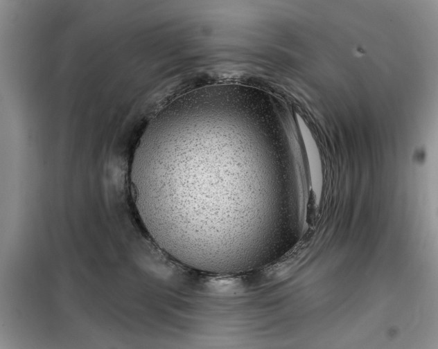 X0000099500283200805291135