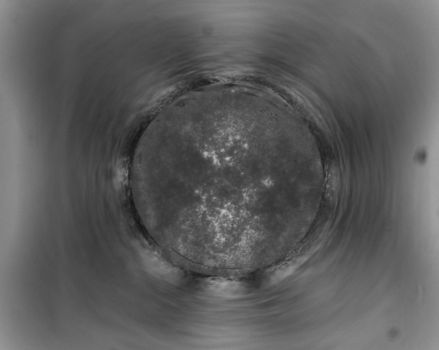 X0000099500284200805291135