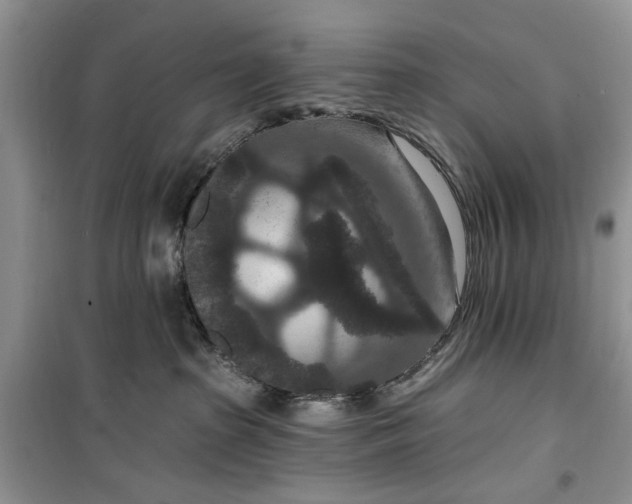 X0000099500285200805291135