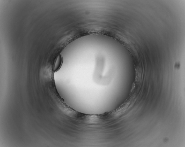 X0000099500287200805291135