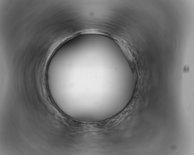 X0000099500289200805291134