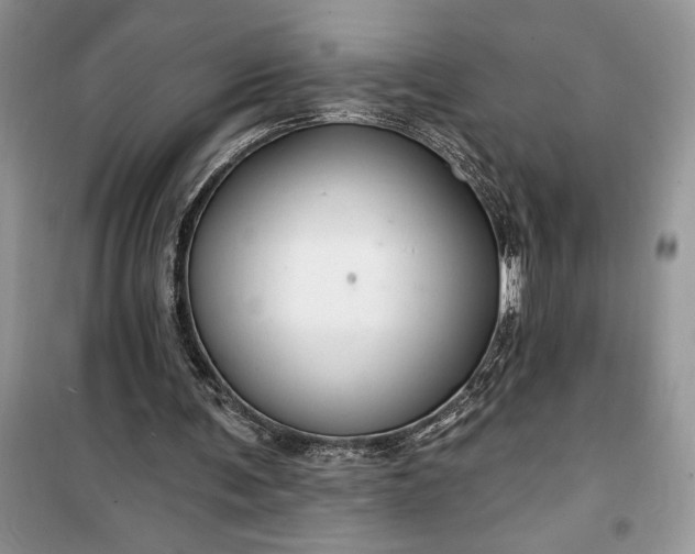 X0000099500291200805291134