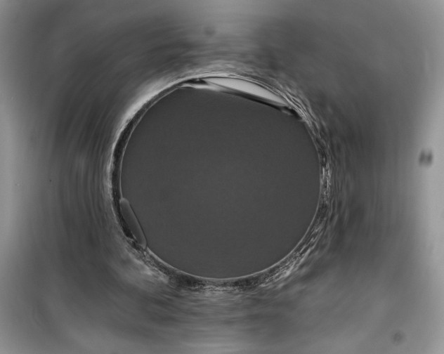 X0000099500292200805291134