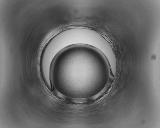 X0000099500293200805291134