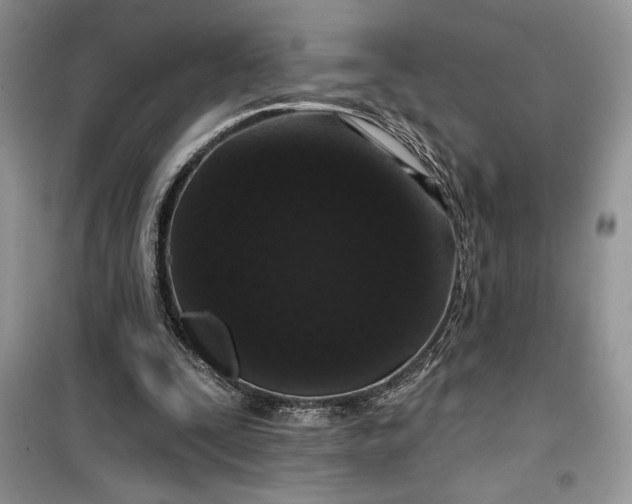 X0000099500295200805291134