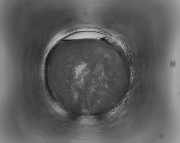 X0000099500296200805291134