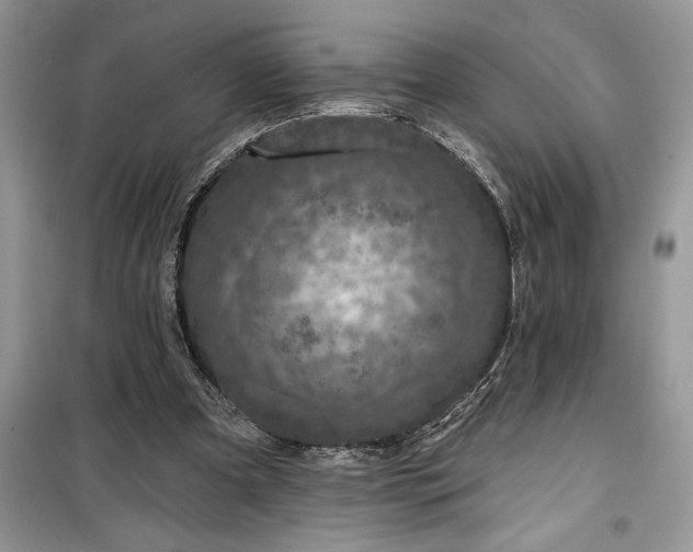 X0000099500297200805291134