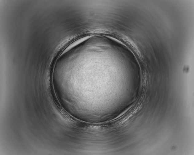 X0000099500298200805291134