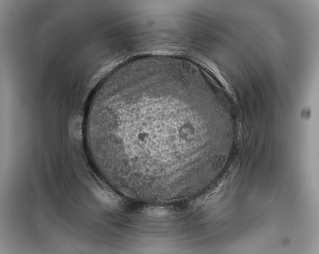 X0000099500299200805291134