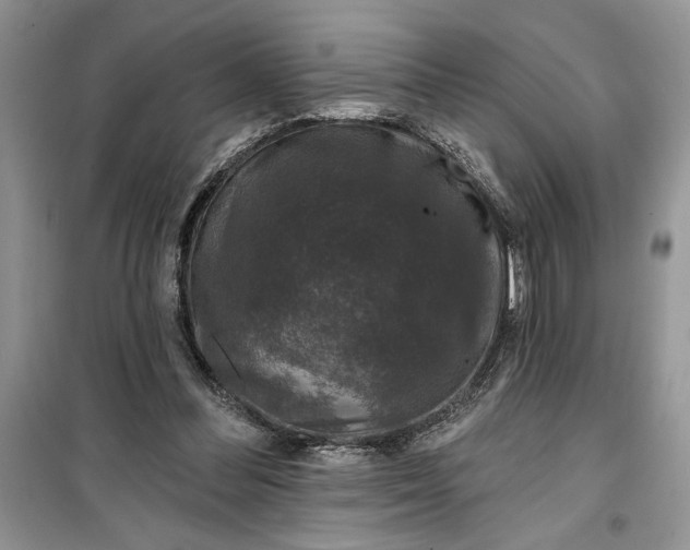 X0000099500300200805291134