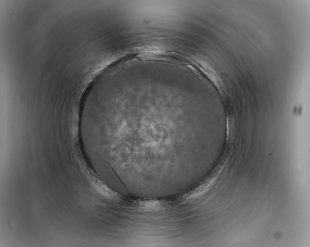 X0000099500301200805291134