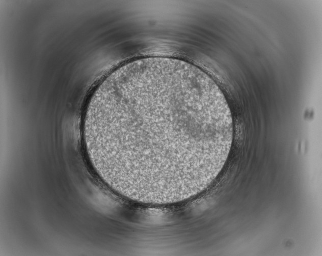 X0000099500302200805291134