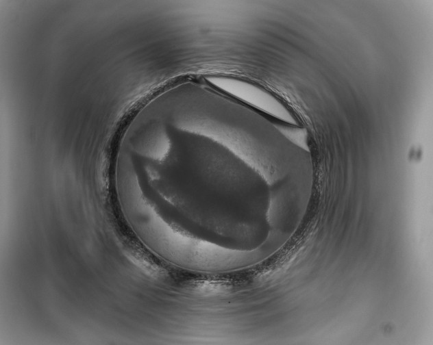 X0000099500303200805291134