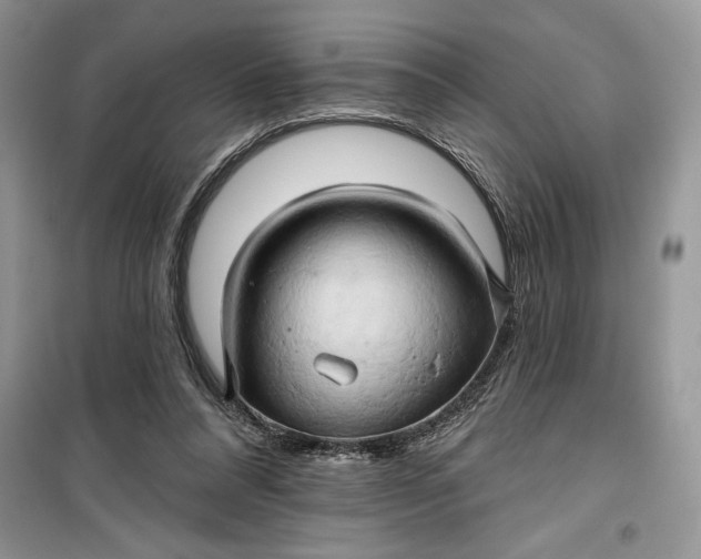 X0000099500304200805291134