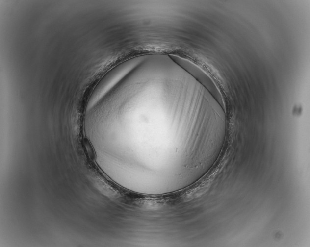 X0000099500305200805291134