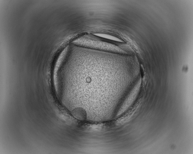 X0000099500306200805291134