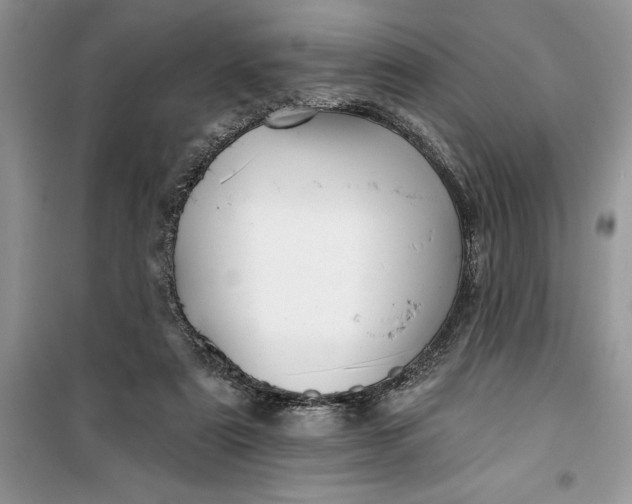 X0000099500307200805291134