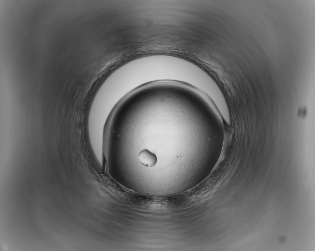 X0000099500308200805291134