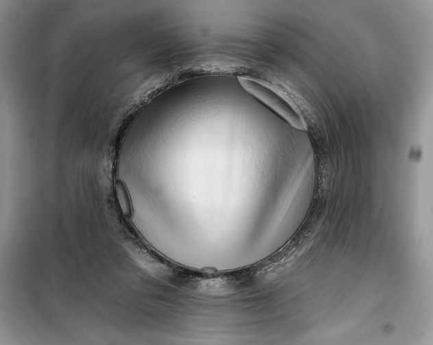 X0000099500309200805291134