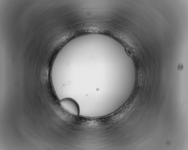 X0000099500310200805291134