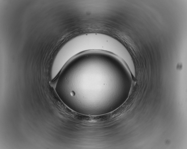 X0000099500312200805291134