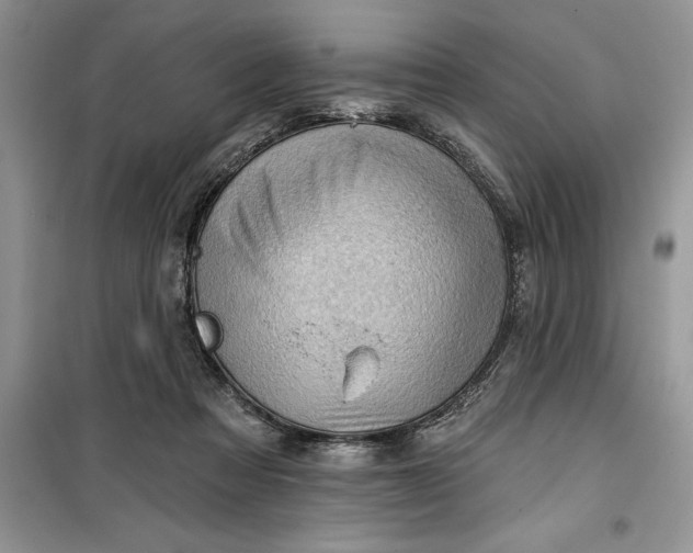 X0000099500313200805291134