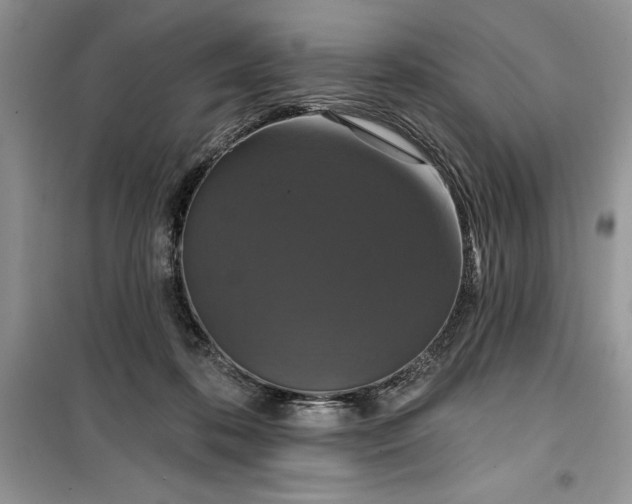 X0000099500316200805291134