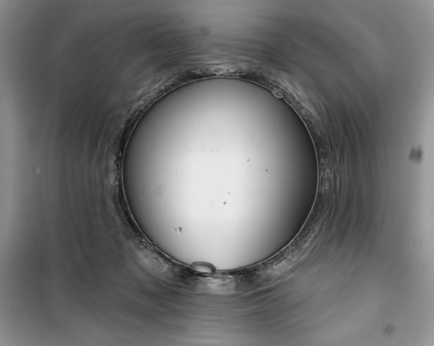 X0000099500317200805291134