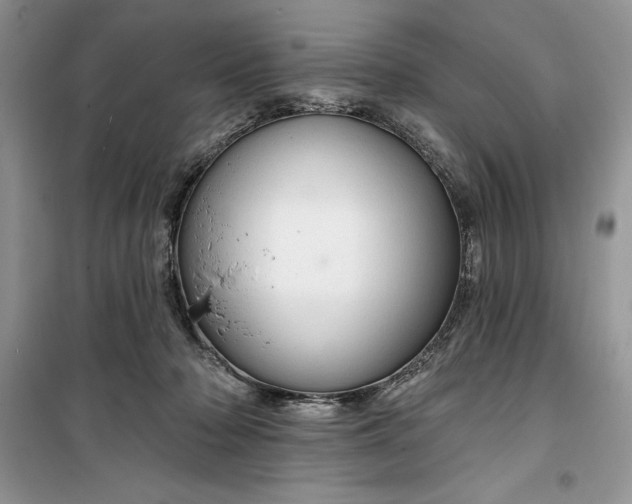 X0000099500318200805291134